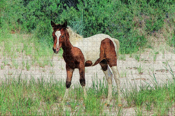 USA America Virginia Beach Horse Jigsaw Puzzle Wooden 1000 Piece