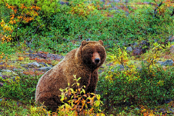 Anchorage Alaska Wildlife USA Jigsaw Puzzle Wooden 1000 Piece