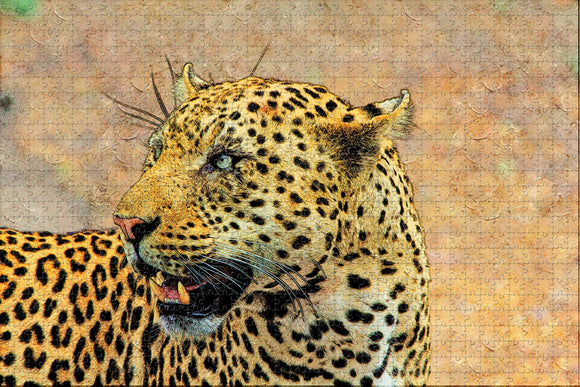 South Africa Leopard Jigsaw Puzzle Wooden 1000 Piece