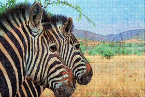 South Africa Zebra Pilanesberg National Park Suncity Jigsaw Puzzle Wooden 1000 Piece