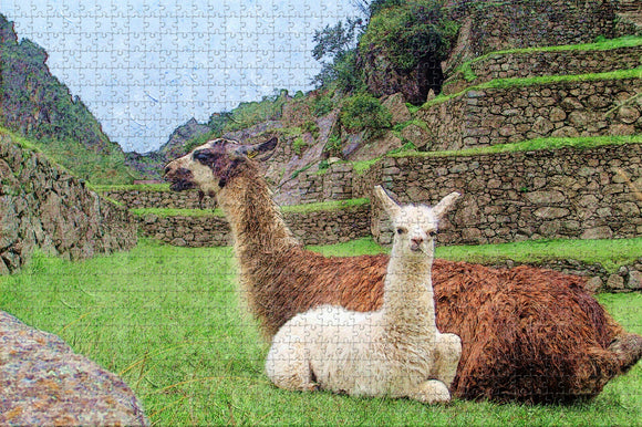 Alpaca Machu Picchu Cusco Peru Jigsaw Puzzle Wooden 1000 Piece