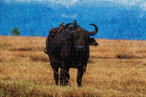 Kenya Buffalo Samburu Jigsaw Puzzle Wooden 1000 Piece