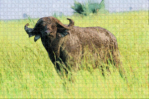 Uganda Buffalo Jigsaw Puzzle Wooden 1000 Piece