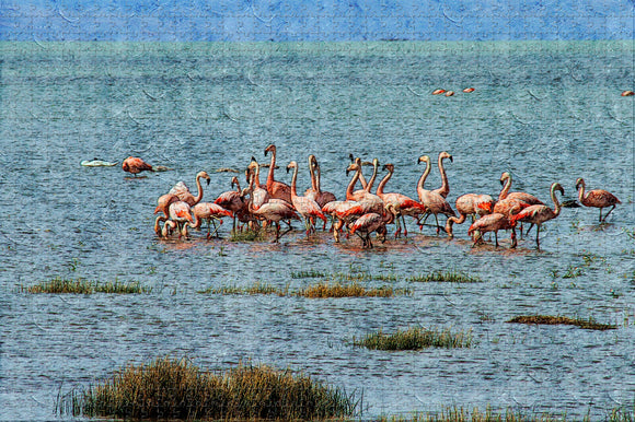 Flamingo Patagonia Calafate Argentina Jigsaw Puzzle Wooden 1000 Piece