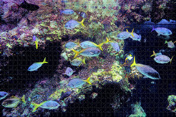 Monaco Museum Aquarium Monte Carlo Jigsaw Puzzle Wooden 1000 Piece