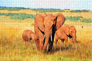 Haller Park Mombasa Kenya Jigsaw Puzzle Wooden 1000 Piece