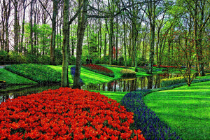 Netherlands Holland Garden Keukenhof Jigsaw Puzzle Wooden 1000 Piece