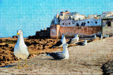 Morocco Essaouira Seagull Jigsaw Puzzle Wooden 1000 Piece