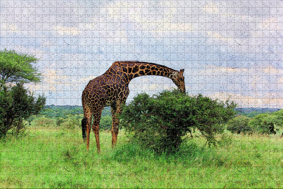 Giraffe Arusha Tanzania Jigsaw Puzzle Wooden 1000 Piece