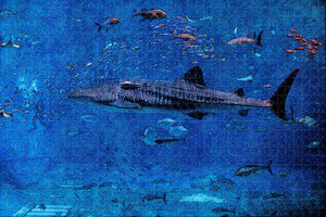 UAE Dubai Aquarium Jigsaw Puzzle Wooden 1000 Piece