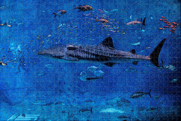 UAE Dubai Aquarium Jigsaw Puzzle Wooden 1000 Piece