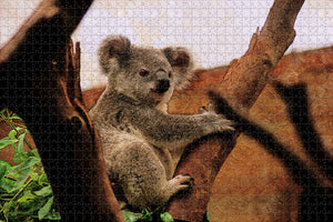 Australia Koala Hospital Port Macquarie Jigsaw Puzzle Wooden 1000 Piece