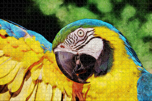 Brazil Parrot Birds Jigsaw Puzzle Wooden 1000 Piece