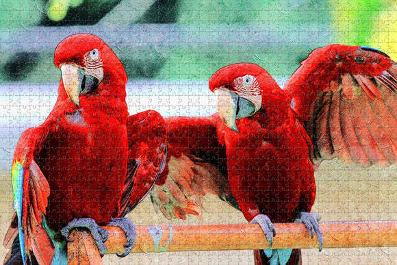 Macaw Venezuela Jigsaw Puzzle Wooden 1000 Piece