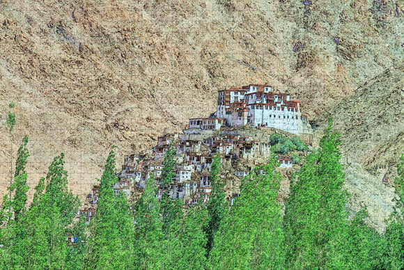 India Thiksey Monastery Leh Jigsaw Puzzle Wooden 1000 Piece