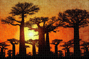 Avenue of the Baobabs Morondava Madagascar Jigsaw Puzzle Wooden 1000 Piece