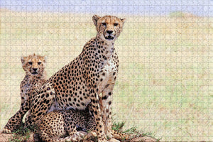 Kenya Cheetah Jigsaw Puzzle Wooden 1000 Piece