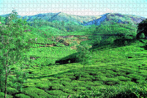 India Tea Gardens Munnar Jigsaw Puzzle Wooden 1000 Piece