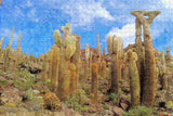 Cactus Bolivia Uyuni Jigsaw Puzzle Wooden 1000 Piece