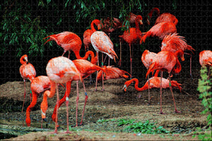 Brazil Flamingos Jigsaw Puzzle Wooden 1000 Piece