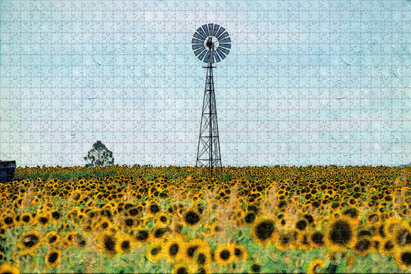 Australia Sunflower Queensland Jigsaw Puzzle Wooden 1000 Piece