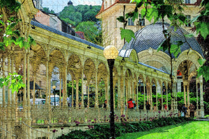 Czech Market Colonnade Karlovy Vary Jigsaw Puzzle Wooden 1000 Piece