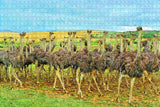 South Africa Bird Ostrich Jigsaw Puzzle Wooden 1000 Piece