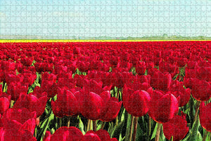 Netherlands Holland Amsterdam  Tulip Jigsaw Puzzle Wooden 1000 Piece