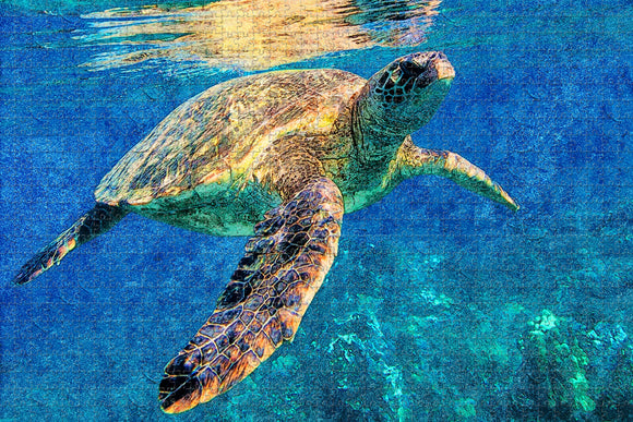 Palau Turtle Jigsaw Puzzle Wooden 1000 Piece