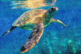 Palau Turtle Jigsaw Puzzle Wooden 1000 Piece