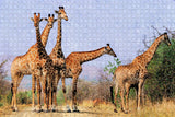 South Africa Giraffe Jigsaw Puzzle Wooden 1000 Piece