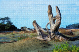 Canada Beach Tofino Vancouver Island British Columbia Jigsaw Puzzle Wooden 1000 Piece