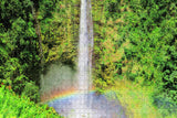 Akaka Falls State Park Hilo Hawaii USA Jigsaw Puzzle Wooden 1000 Piece