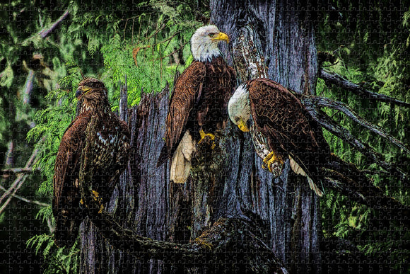 USA America Ketchikan Bald Eagle Alaska Jigsaw Puzzle Wooden 1000 Piece