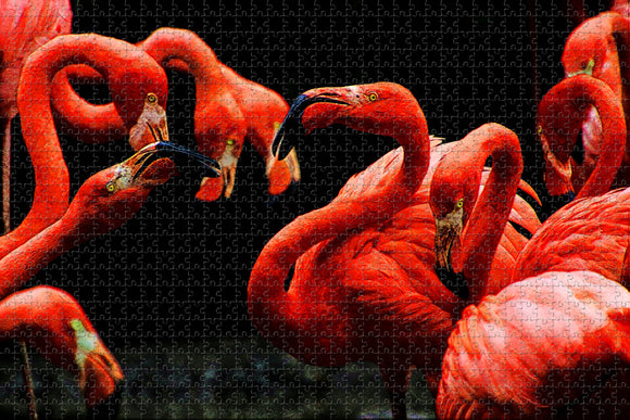 Colombia Flamingos Bird Jigsaw Puzzle Wooden 1000 Piece