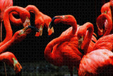 Colombia Flamingos Bird Jigsaw Puzzle Wooden 1000 Piece