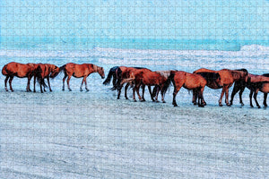 Horse Beach Freeport Bahamas Jigsaw Puzzle Wooden 1000 Piece