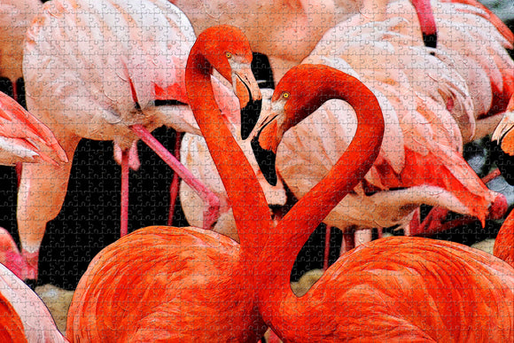 Columbia Flamingo Zoo South Carolina USA Jigsaw Puzzle Wooden 1000 Piece