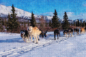 Dogsled Alaska USA Jigsaw Puzzle Wooden 1000 Piece