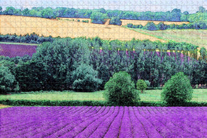 New Zealand Kaikoura Lavender Farm Jigsaw Puzzle Wooden 1000 Piece