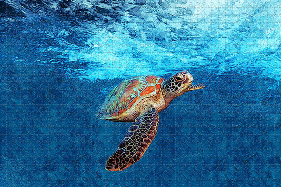 Belize Ambergris Turtle Jigsaw Puzzle Wooden 1000 Piece