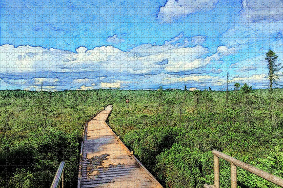 Orono Bog Boardwalk Maine USA Jigsaw Puzzle Wooden 1000 Piece