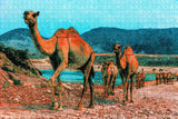 Oman Salalah Camel Jigsaw Puzzle Wooden 1000 Piece