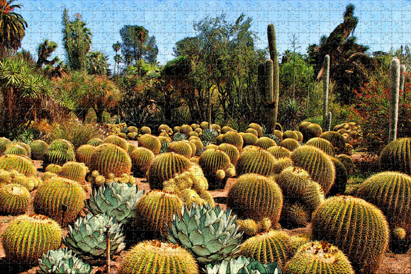 Cactus Gardens Henderson USA Jigsaw Puzzle Wooden 1000 Piece