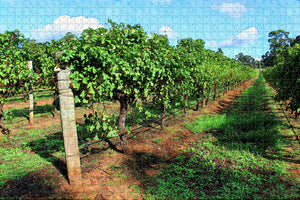 Australia Margaret River and Wine Tours Jigsaw Puzzle Wooden 1000 Piece