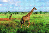 Nairobi National Park Kenya Jigsaw Puzzle Wooden 1000 Piece