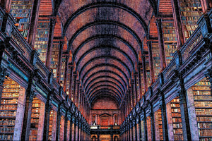 Ireland Dublin Trinity College Library Jigsaw Puzzle Wooden 1000 Piece