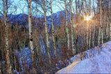 USA America Salt Lake City Big Cottonwood Canyon Jigsaw Puzzle Wooden 1000 Piece