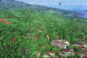 Port Au Prince Haiti Jigsaw Puzzle Wooden 1000 Piece