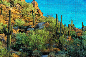 Scottsdale Cactus Arizona USA Jigsaw Puzzle Wooden 1000 Piece